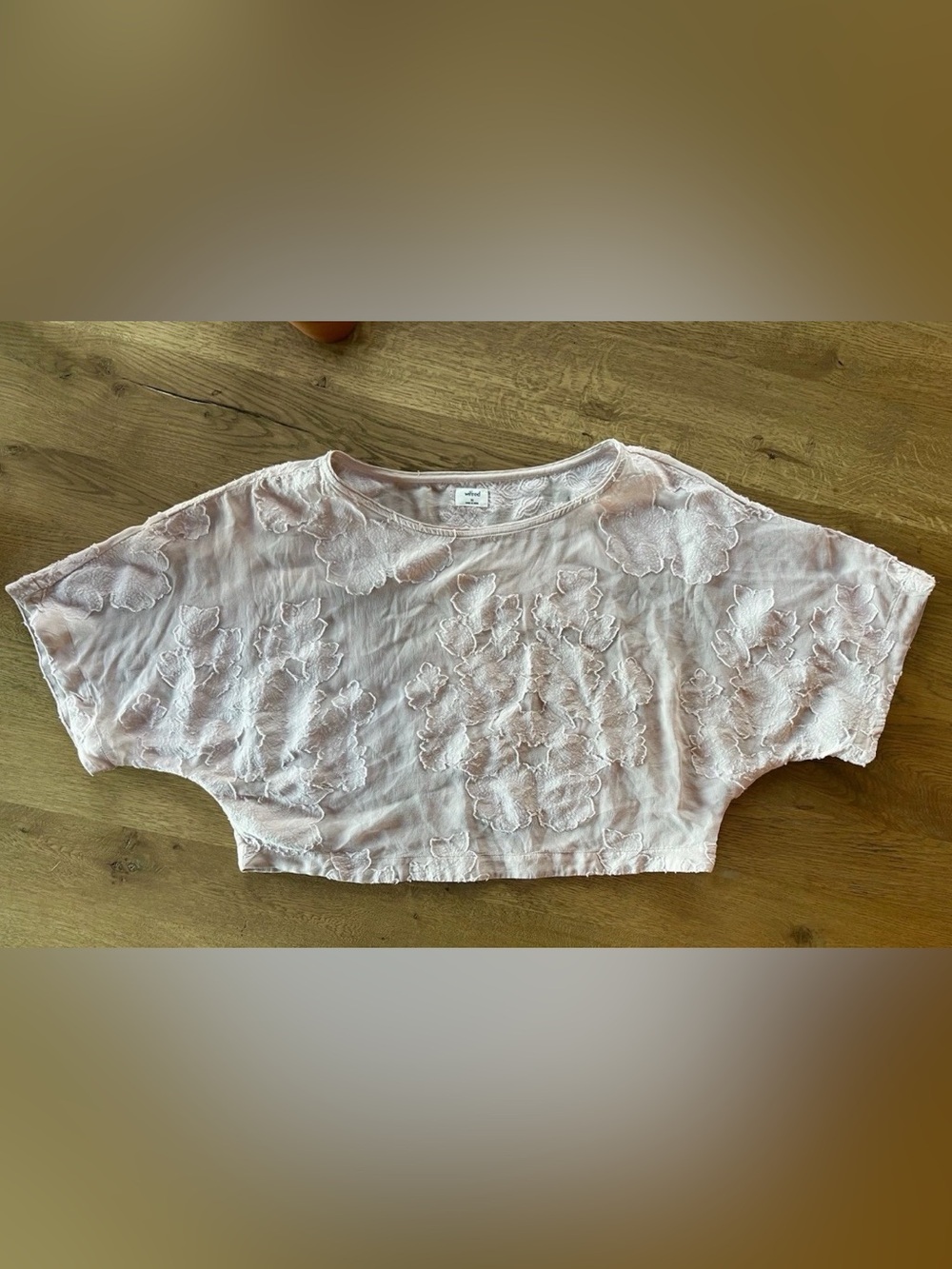 Aritzia Wilfred Women's Sheer Pale Pink Cropped Top XS